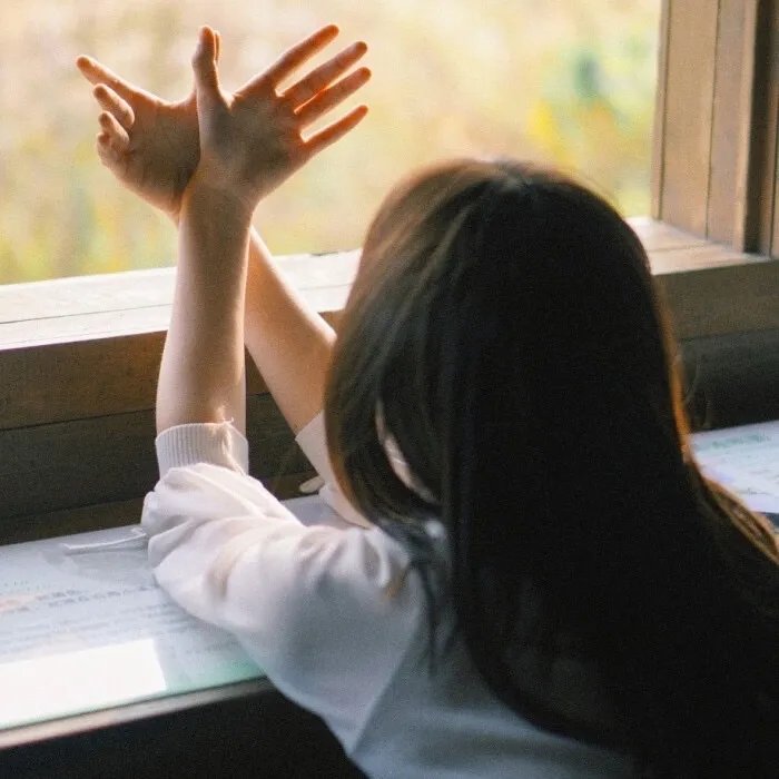 通天大逃犯：汽车大亨戈恩奇案